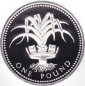 1 Pound (Leek of Wales. Silver Piedfort)