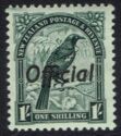 Tui (Prosthemadera novaeseelandiae) (Overprint)