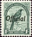 Tui (Prosthemadera novaeseelandiae) (Overprint)