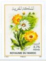 Flowers of Morocco