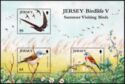 Birdlife Vb