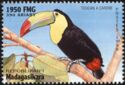 Keel-billed toucan (Ramphastos sulfuratus)