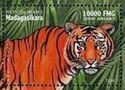 Tiger (Panthera tigris)