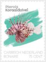 Lionfish (Pterois sp)