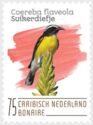Bananaquit (Coereba flaveola)