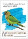 Brown-Throated Parakeet (Eupsittula pertinax)