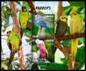 Parrots