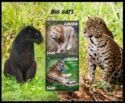 Big Cats