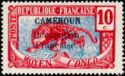 Leopard (Panthera pardus) overprint