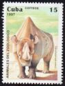 White Rhinoceros (Ceratotherium simum)