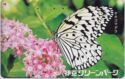 Butterfly on pink flower