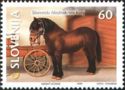 Slovenian cold-blooded horse