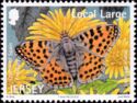 Queen of Spain Fritillary (Issoria lathonia)