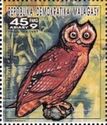 Marsh Owl (Asio capensis)
