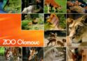 ZOO Olomouc
