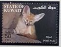 Fennec (Fennecus zerda)