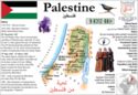 Palestine MOTW
