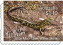 Blue Mountains Water Skink (Eulamprus leuraensis)