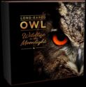 5 Dollars (Wildlife in the Moonlight - Long-Eared Owl)