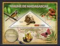 Madagascar Fauna