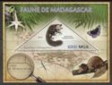 Madagascar Fauna