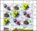 Bees in Israel Mini Sheet