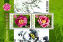 Slovene Peony