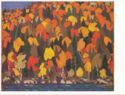 Tom Thomson - "Autumn Foliage"
