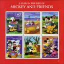 A Year in the Life of Mickey and friends (2)