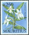 Angraecum mauritianum