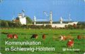 Kommunikation in Schleswig-Holstein (Wiese) (1st edition)