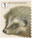 West European Hedgehog (Erinaceus europaeus)