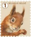 Eurasian Red Squirrel (Sciurus vulgaris)