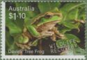 Davies’ Tree Frog (Litoria daviesae)