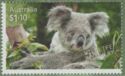 Koala (Phascolarctos cinereus)