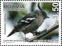 Ash-breated Tit-tyrant (Anairetes alpinus) 