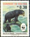 Spectacled Bear (Tremarctos ornatus)