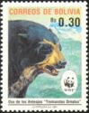 Spectacled Bear (Tremarctos ornatus)