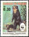 Spectacled Bear (Tremarctos ornatus)