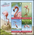 The Caribbean Flamingo (Phoenicopterus ruber)
