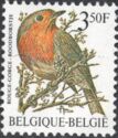 European Robin (Erithacus rubecula)