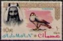 Sheik Rashid and Lanner Falcon (Falco biarmicus)