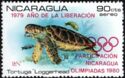 Loggerhead sea turtle (Caretta caretta)