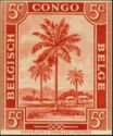 Oil palm trees - bilingual "Belgisch Congo Belge"