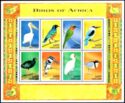 Birds of Africa