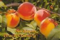 Michigan, Peach farming