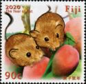 Year of the Rat 2020 - Polynesian rat (Rattus exulans)