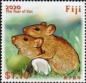 Year of the Rat 2020 - Polynesian rat (Rattus exulans)