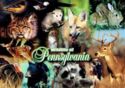Pennsylvania, Wildlife
