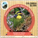 Gold-Ringed Tanager (Bangsia aureocincta)
